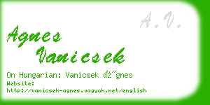 agnes vanicsek business card